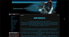Desktop Screenshot of monsasti.pl